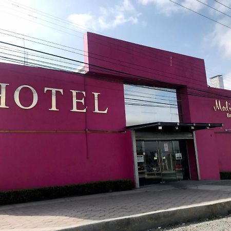 Malinalli Express Apizaco Kültér fotó
